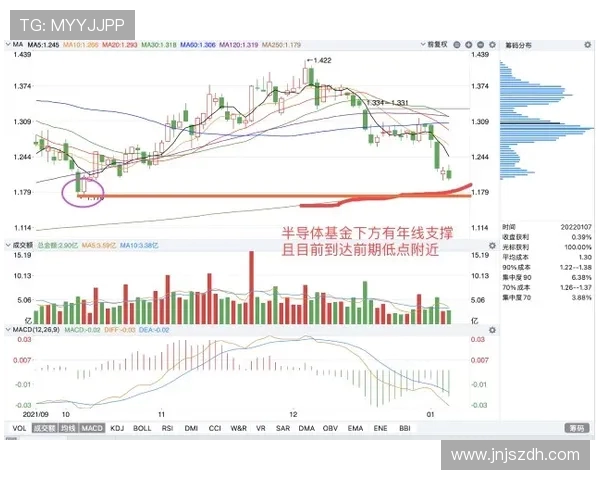 上海飞盘队与杭州飞盘队赛后复盘分析团队配合与战术执行的关键要素