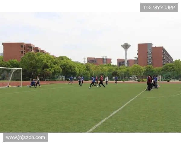 北京飞盘队防守分析：优缺点与改进建议探讨